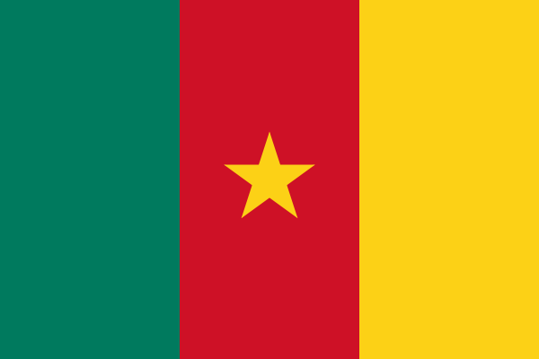 Cameroun - offizielle flagge